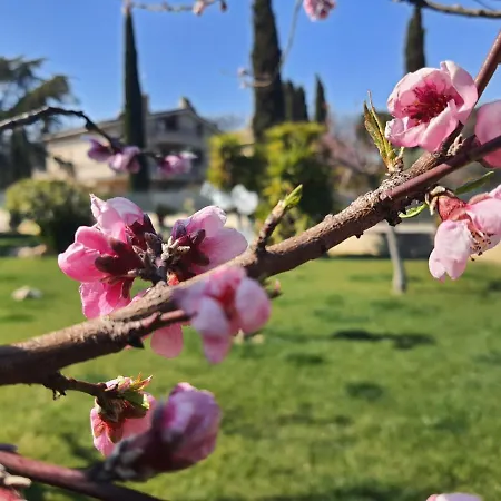 Itaca Lido di Fermo